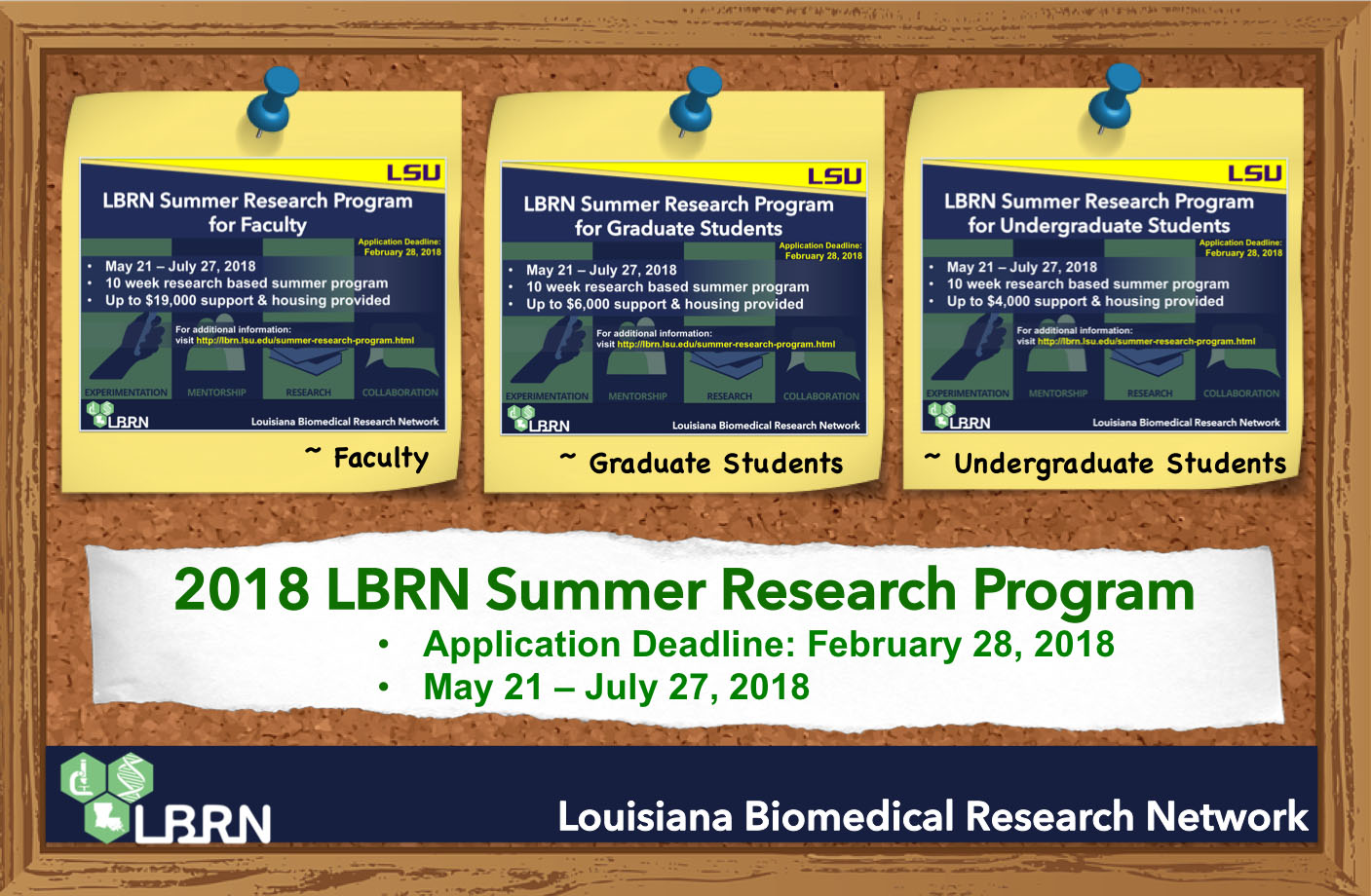 LBRN Summer Research Program Application 2018